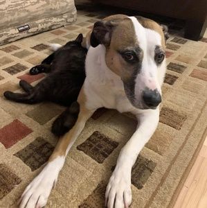 Meet your Posher, Shauna